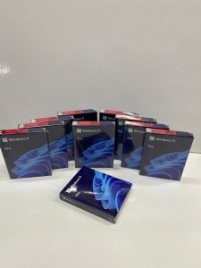 Windows 11 Pro 64 Bit Türkçe Kutulu HAV-00159 İşletim Sistemi