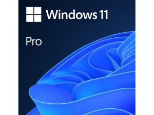 MS WINDOWS 11 PRO 64BIT İNGİLİZCE OEM (FQC-10528)
