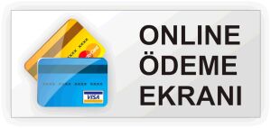 BAYİ ÖDEME PANELİ 3